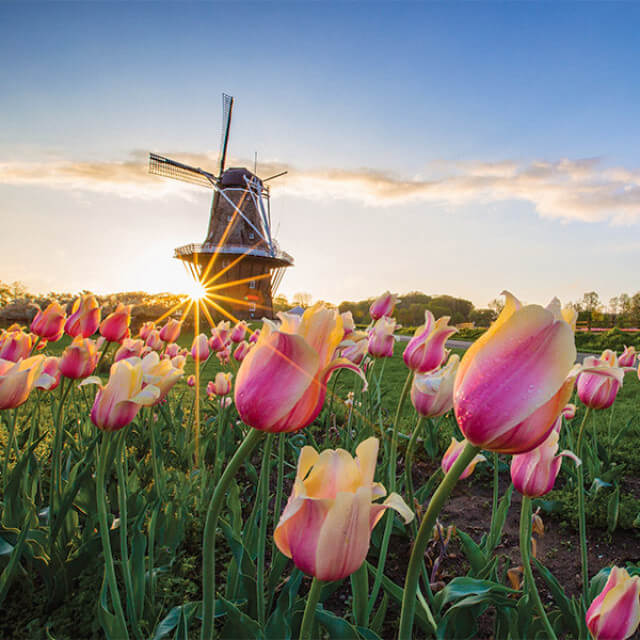 Die Windmill Island Gardens in Holland, Michigan