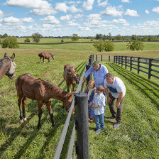 Tierische Begegnung auf der Gainsborough Farm in Versailles, Kentucky