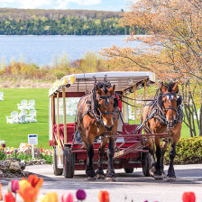 Kutschenfahrt auf Mackinac Island, Michigan