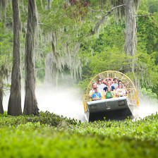Im Sumpfboot durch das Atchafalaya Basin in Louisiana