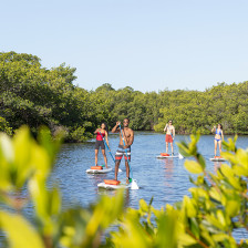 Stehpaddeln im Bill Coy Preserve in Placida, Florida