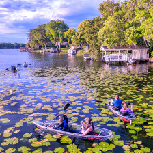 Exkursion im Glasboden-Kajak in Winter Park, Florida
