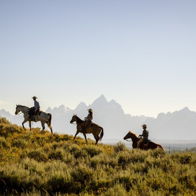 Ausflug zu Pferde in der Berglandschaft von Wyoming