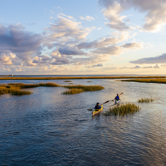 Kajaktour vor Lieutenant Island, Wellfleet, Massachusetts